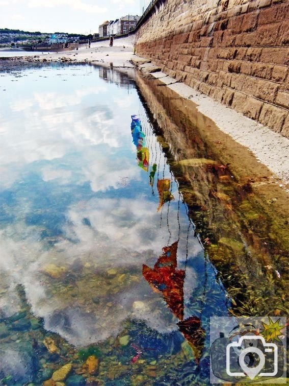 Promenade Reflections