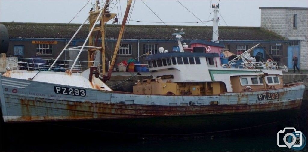 PZ 293 Elizabeth Caroline