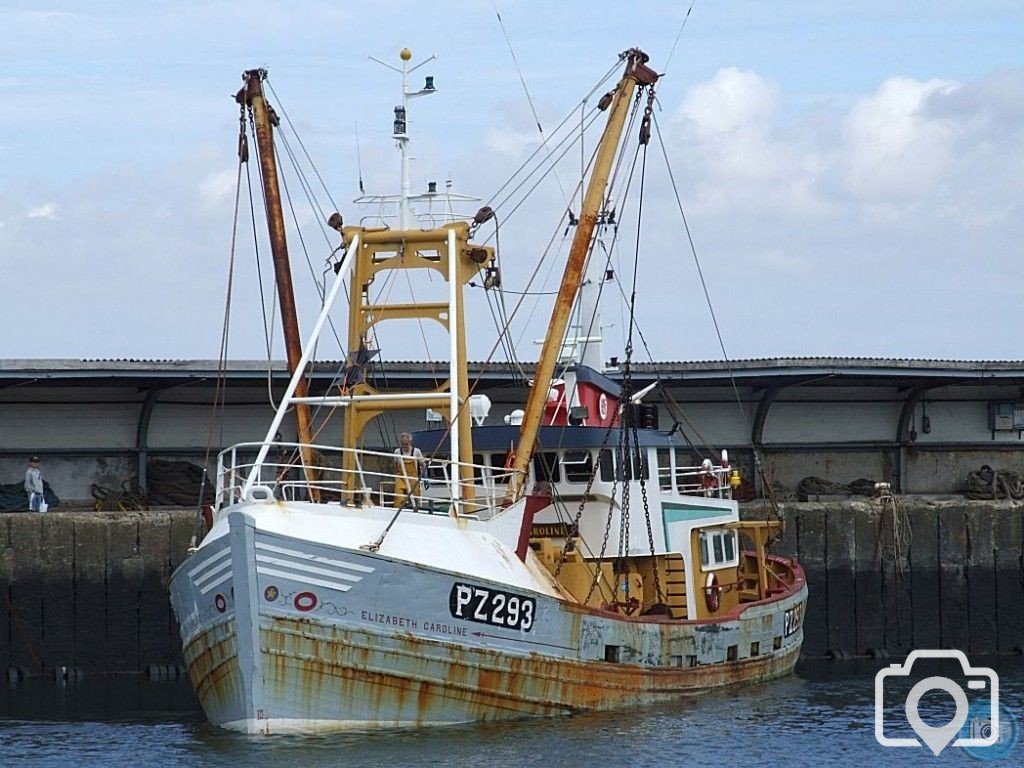 PZ293 Elizabeth Caroline