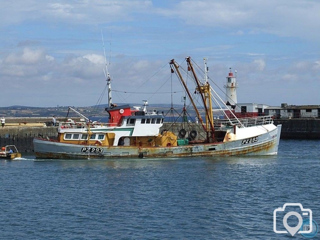 PZ293 Elizabeth Caroline