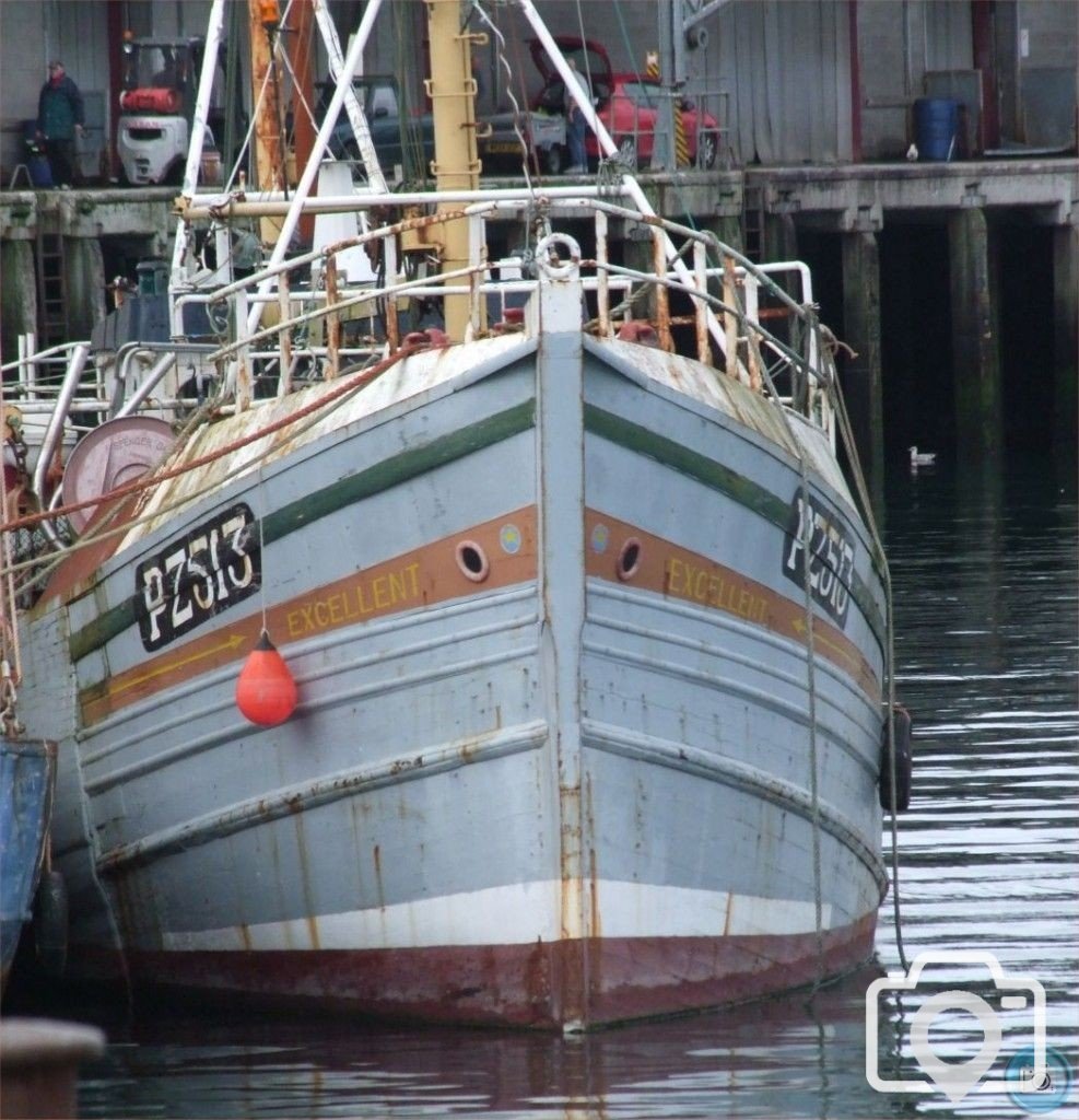 PZ513