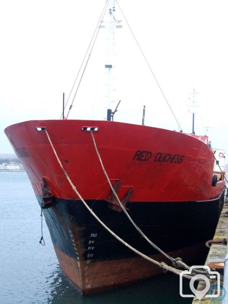 Red Duchess