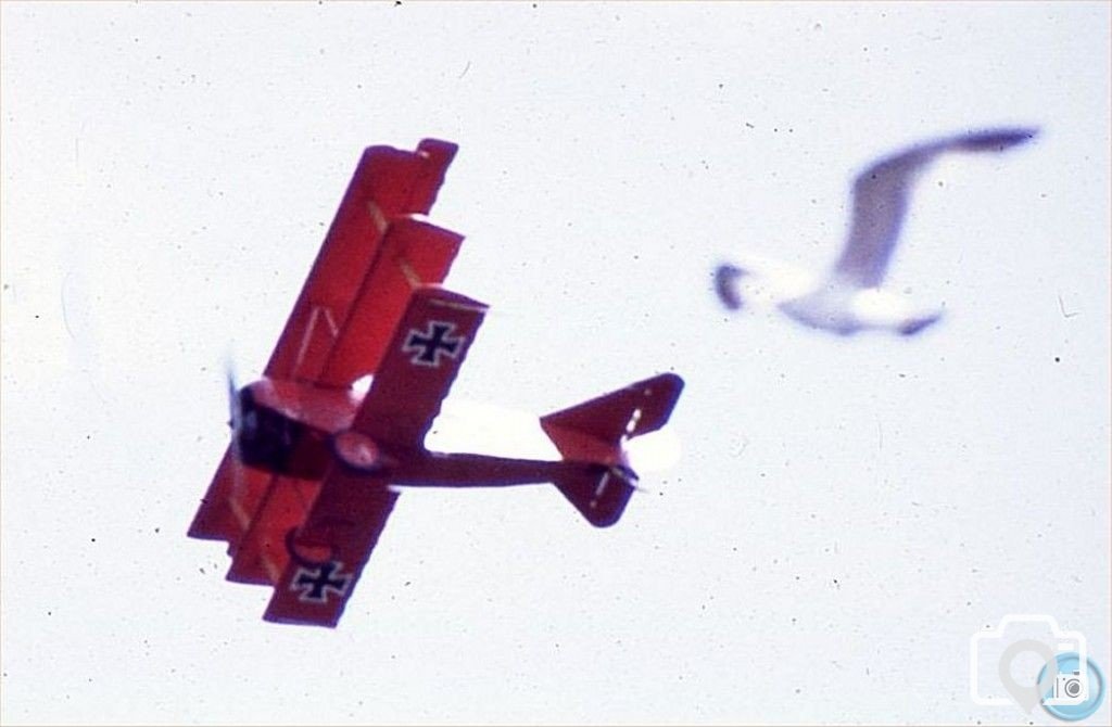 Replica Triplane