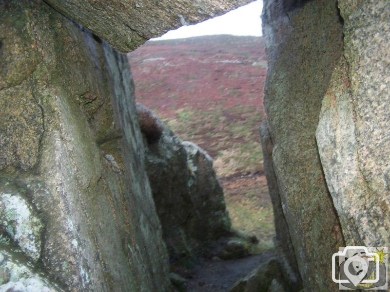 Rocky View