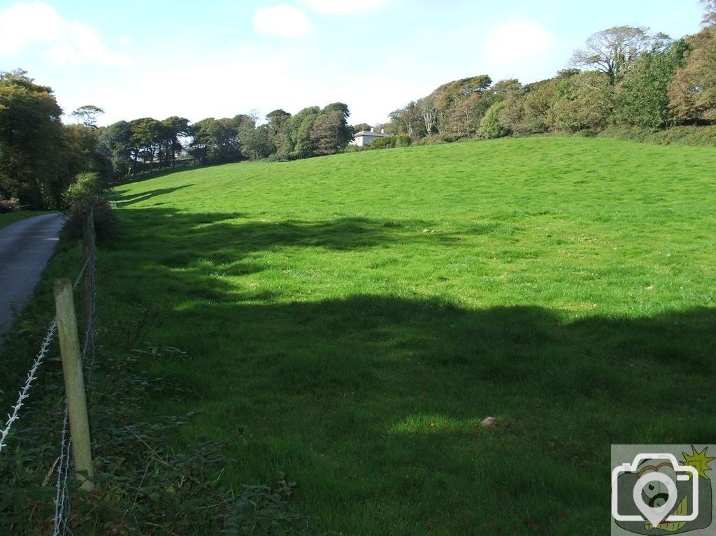 Rosehill/Castle Horneck and Newlyn River
