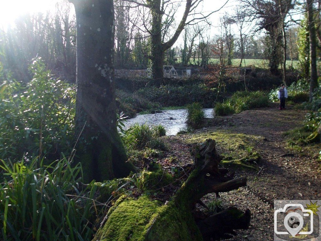 Rosehill/Castle Horneck and Newlyn River