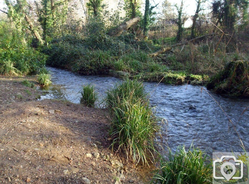 Rosehill/Castle Horneck and Newlyn River