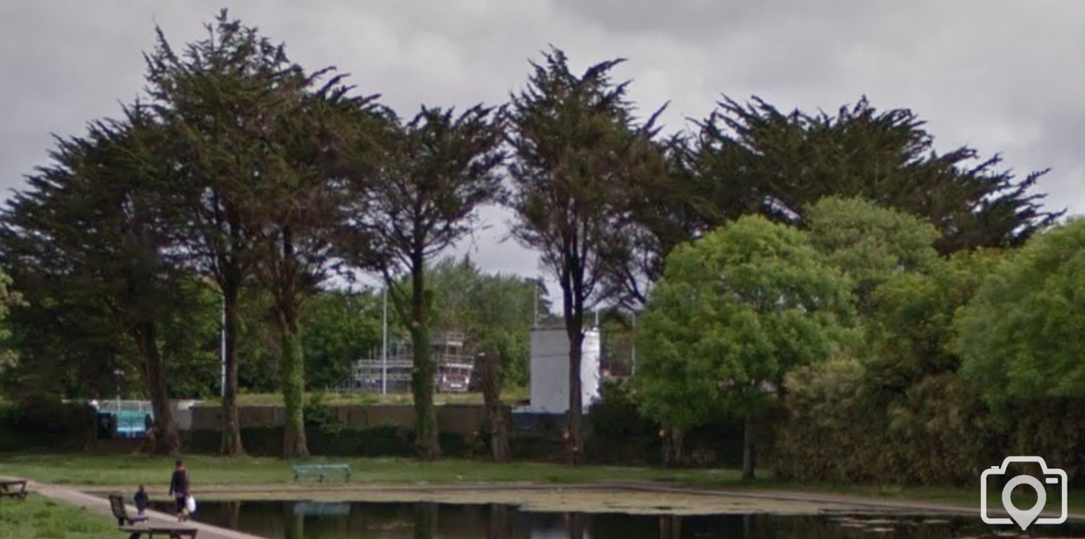 Rugby Club Trees