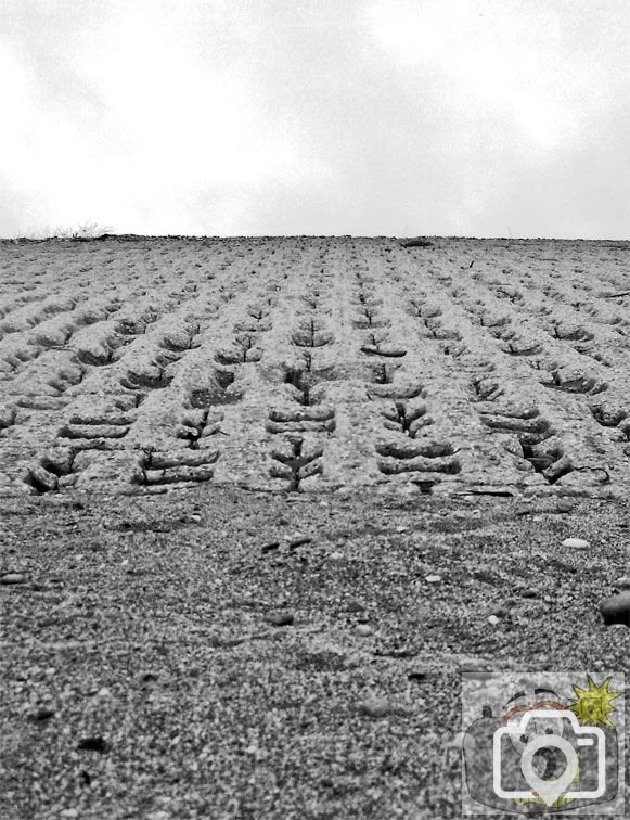 Sea Defence