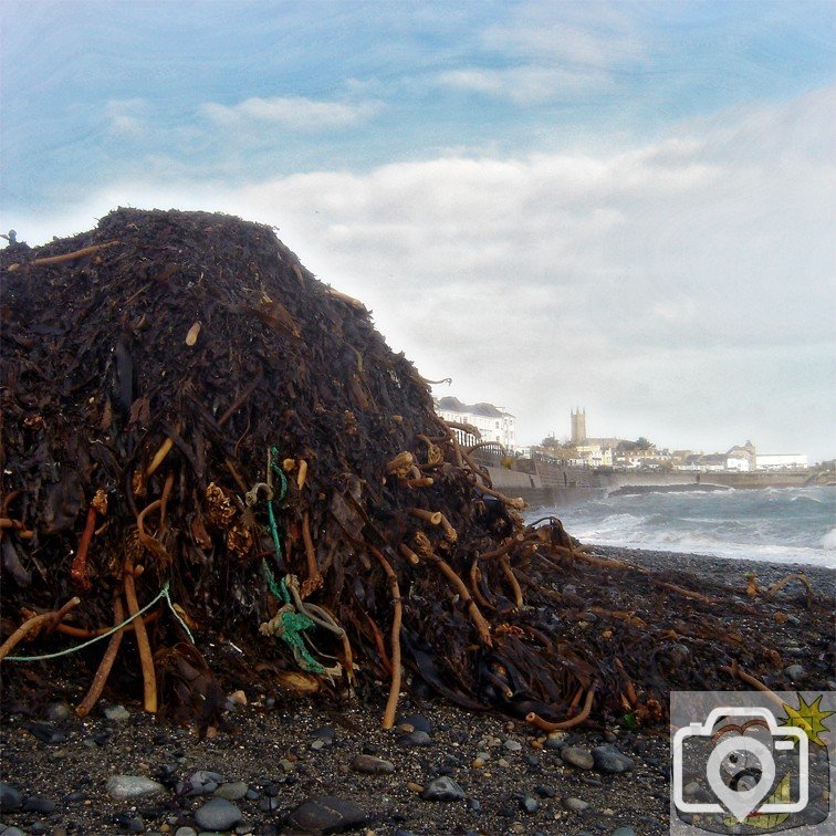 Seaweed Mountain