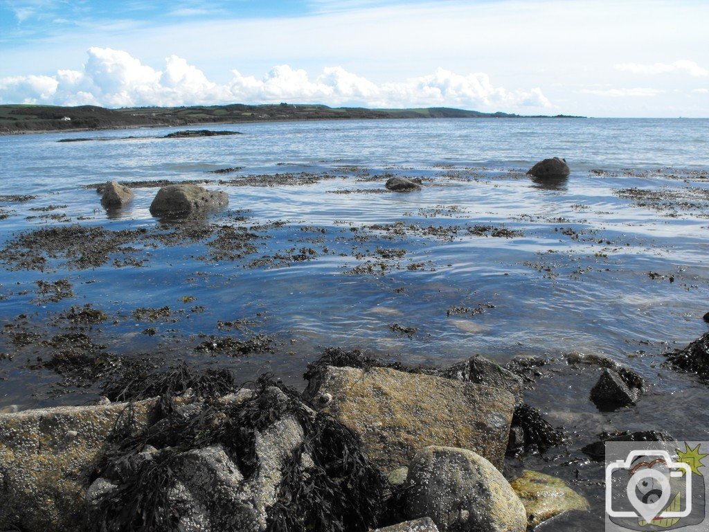 seaweed_and_rocks