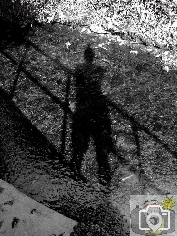Shadow Man