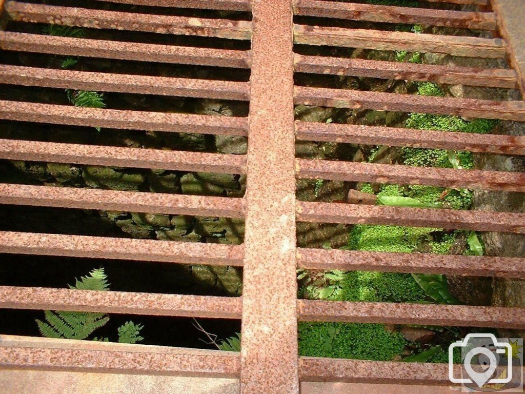 Shaft of sunlight