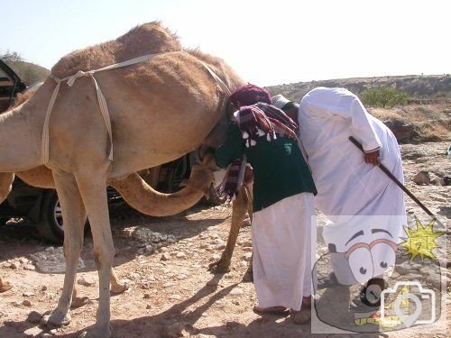 Sheik and son
