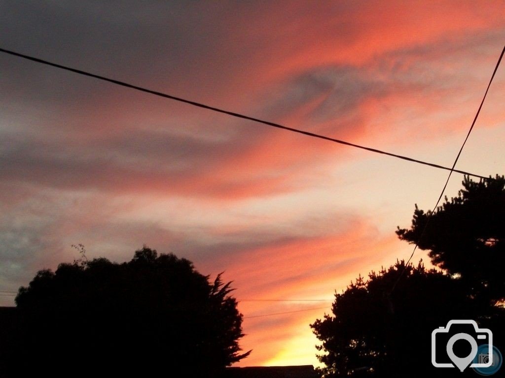 Shepherds Delight 1