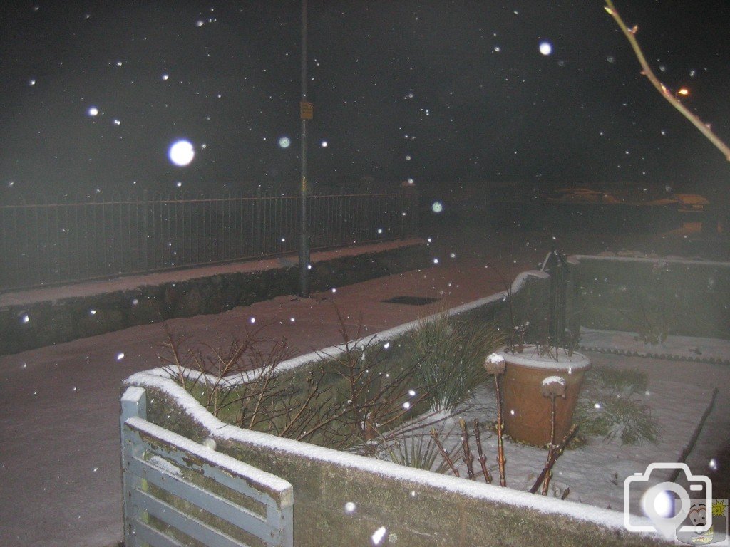 Snowy Garden