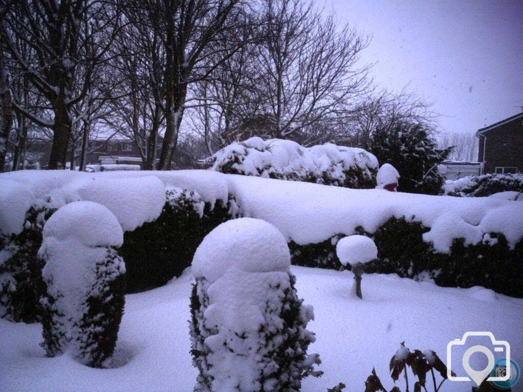 Snowy North East