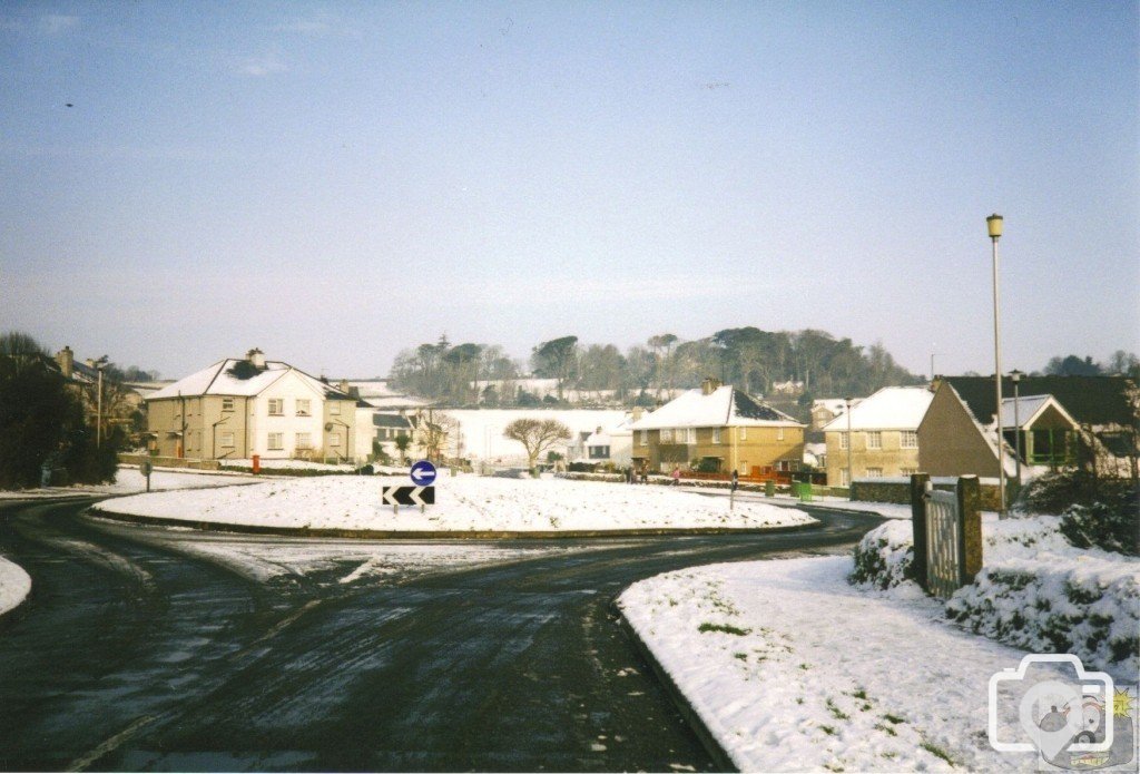 Snowy Treneere