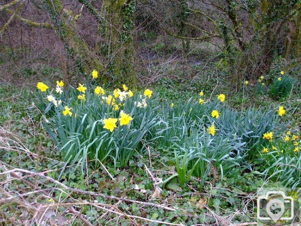 Spring in Chyenhal (House on the Moor) is another lesser-frequented hamlet