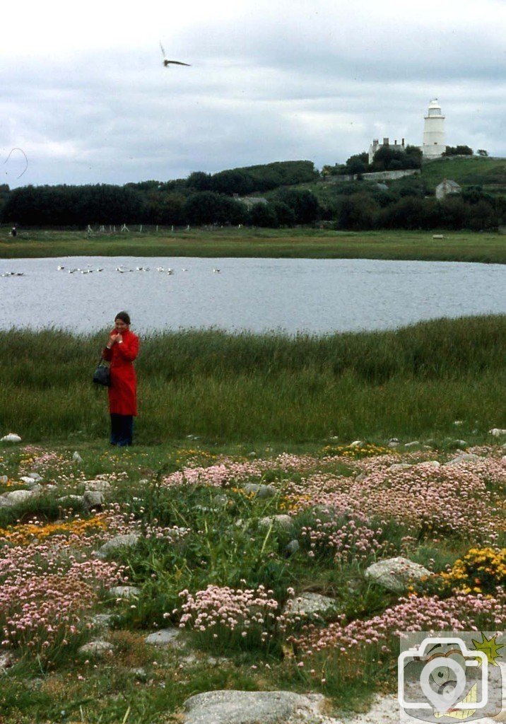 St Agnes, Scilly: Beady Pool