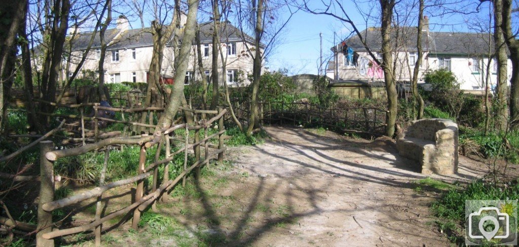 St Clare's woodland area