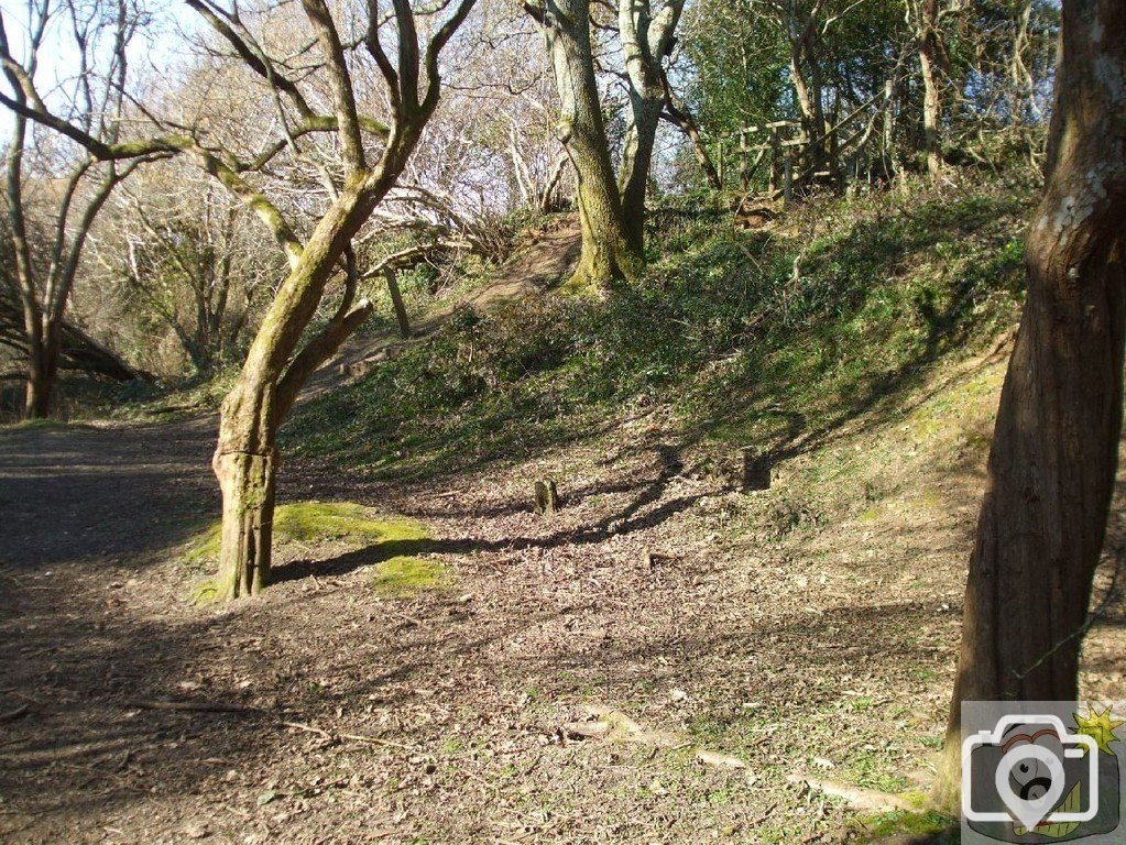 St Erth Clay Pits - 11Mar10
