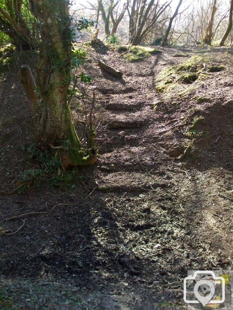 St Erth Pits - A flight of steps - 11Mar10