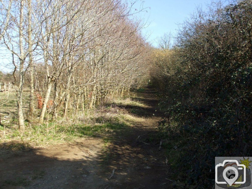 St Erth - track to the Pits - 11Mar10