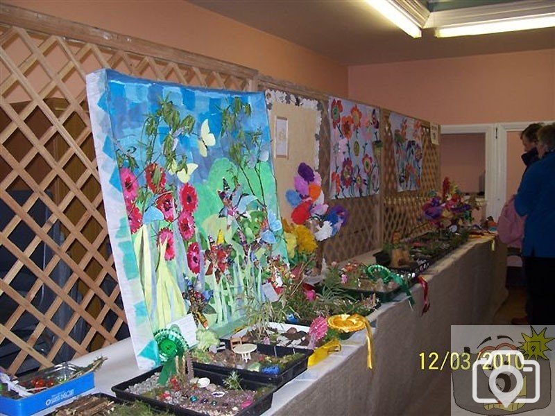 St John's Hall: Penzance Spring Show today - 12Mar10