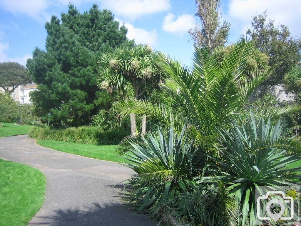 Subtropical Morrab Gardens