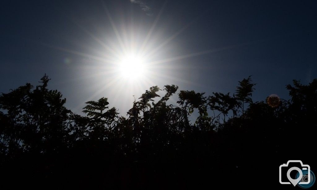 Sun burst