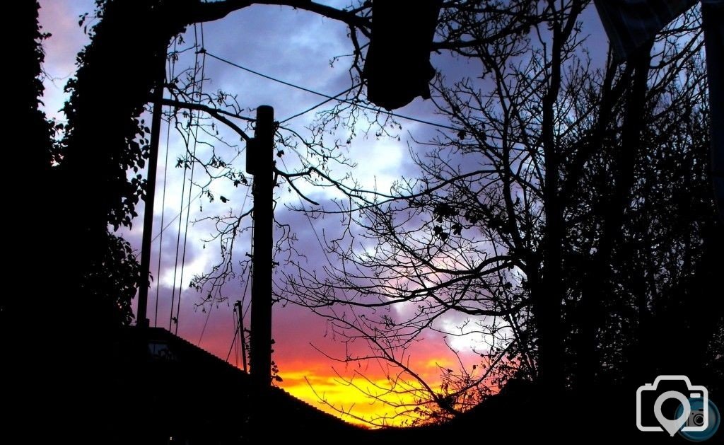 Sunburst (1)