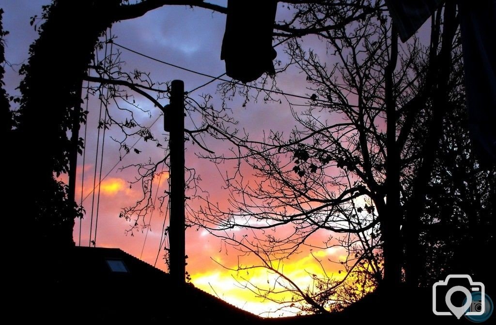 Sunburst (2)