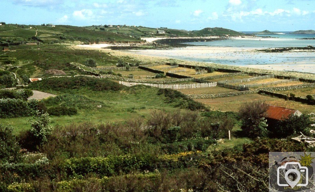 Tall hedges protect St Martin's, 1977, Scilly