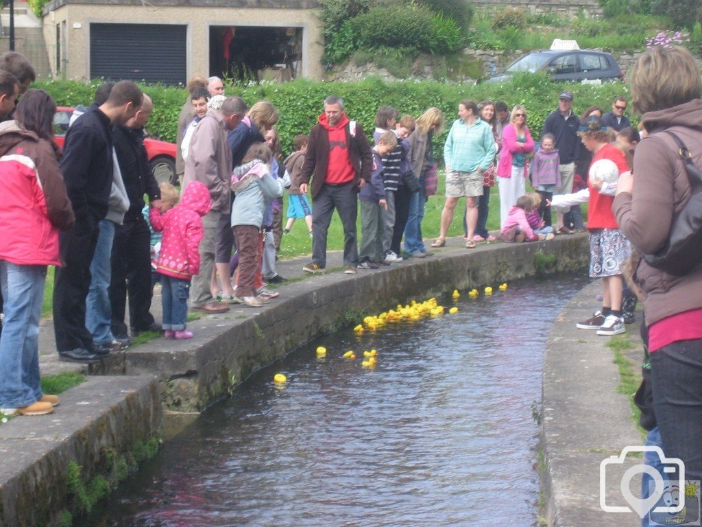 The Annual Duck Race