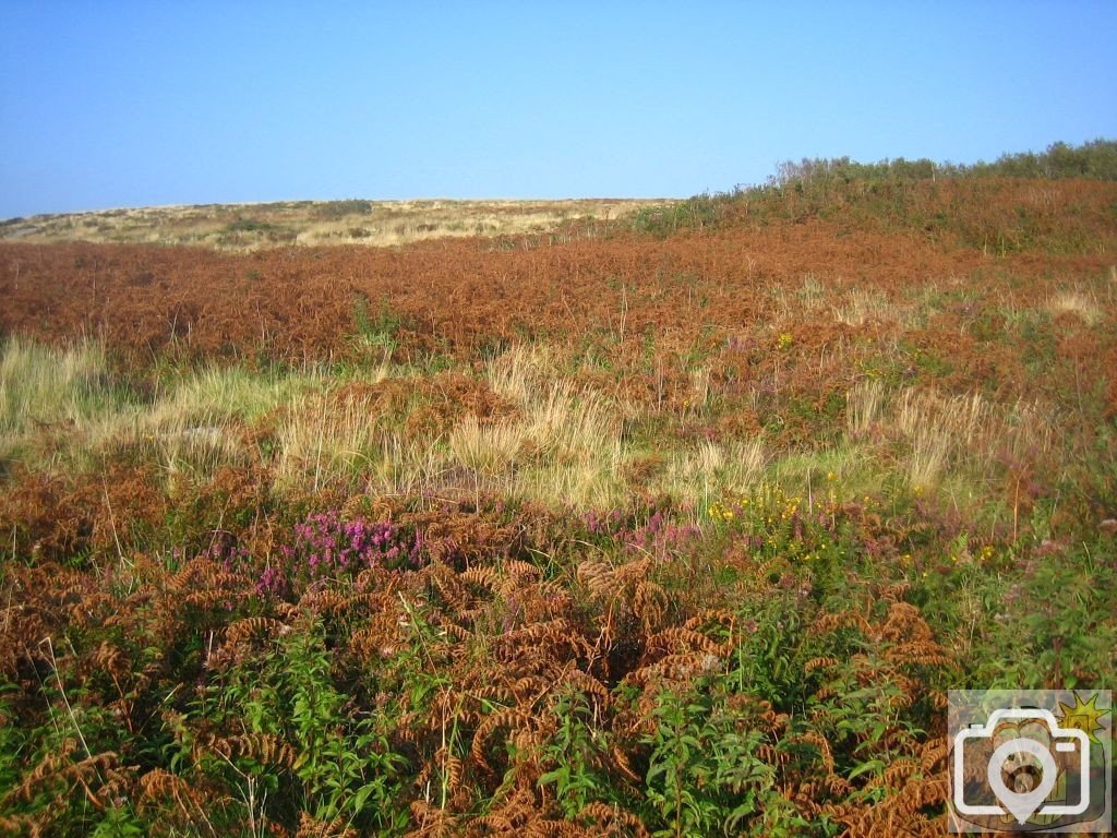The Beautiful Penwith Moorland