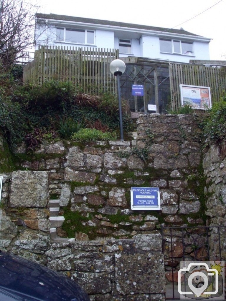 The Bird Hospital, Mousehole - 13/03/09