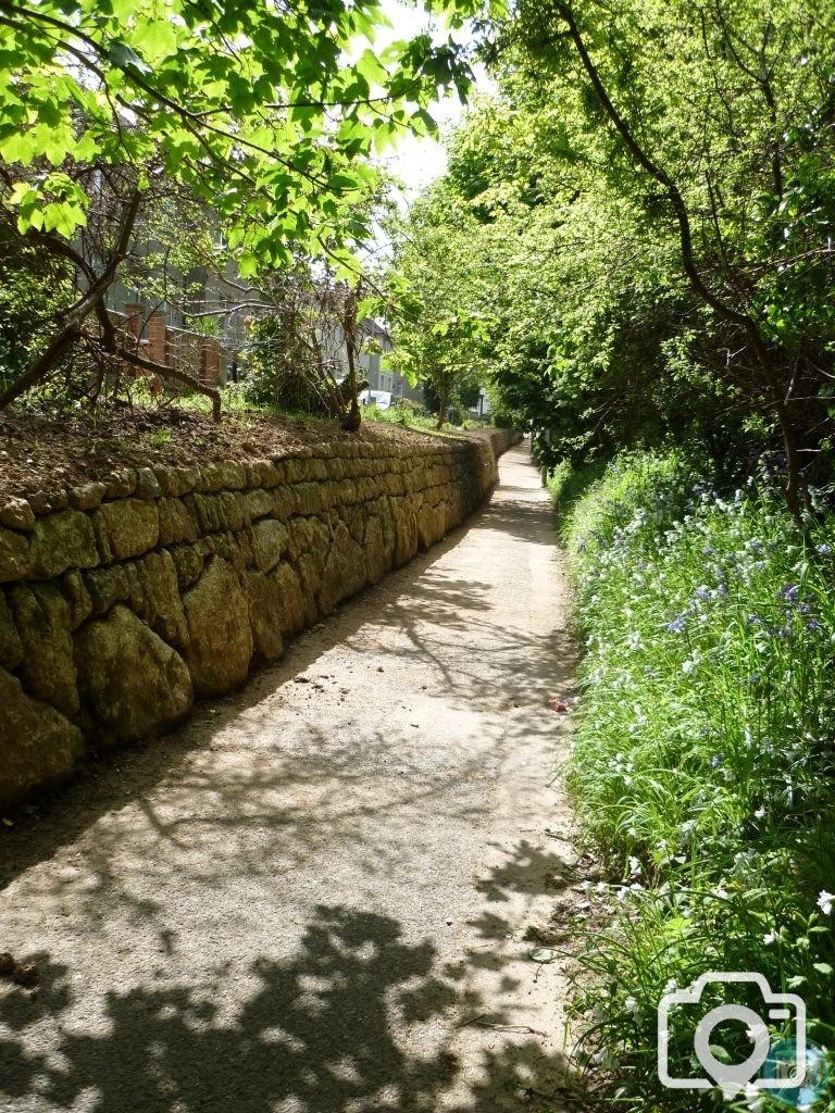 the coombe