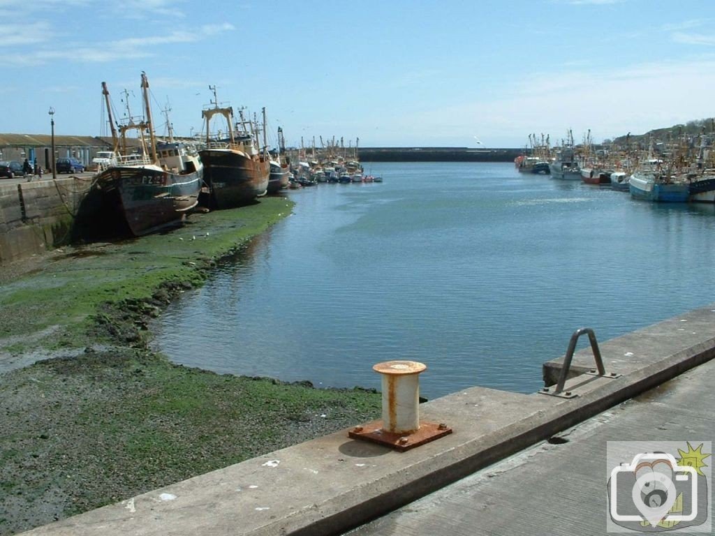 The Harbour at low tide