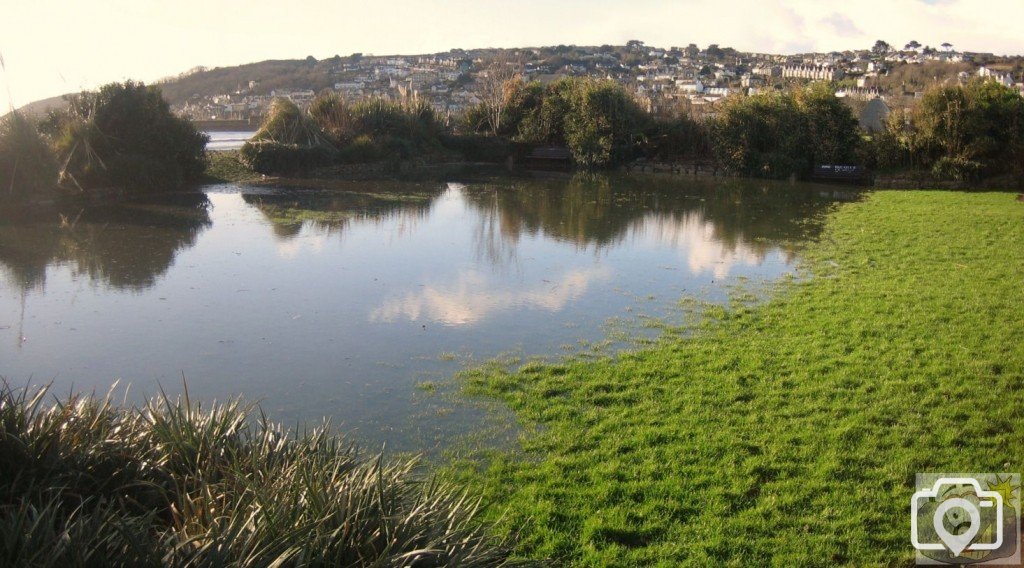 The lake at Newlyn Green