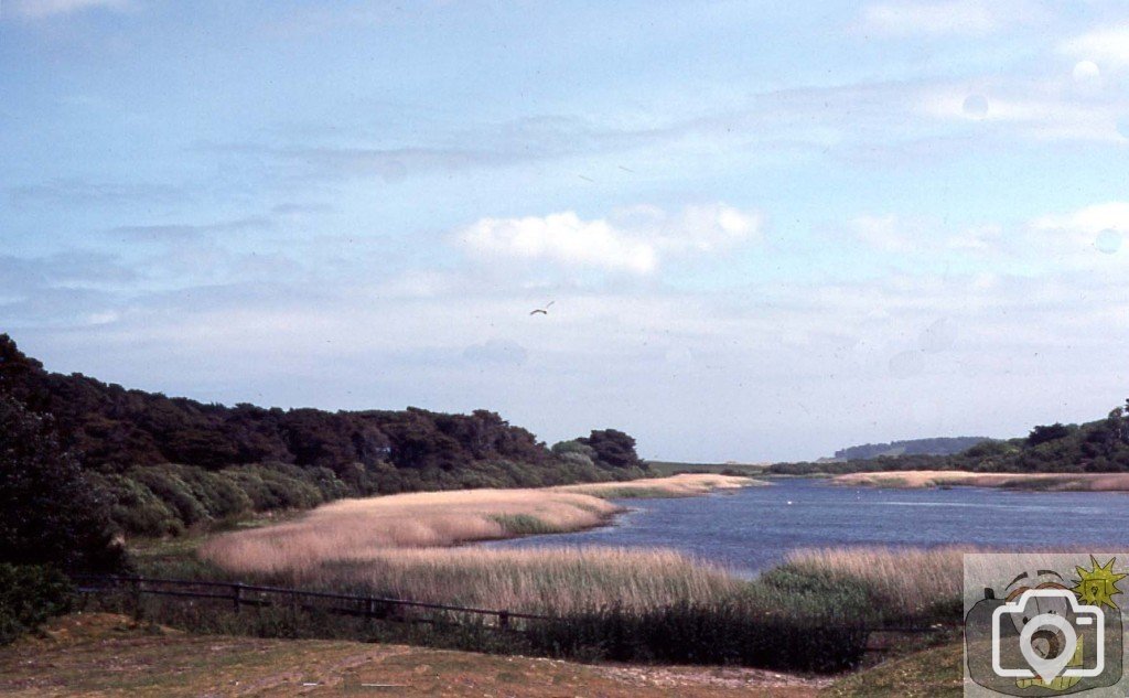 The lake, Tresco, Scilly
