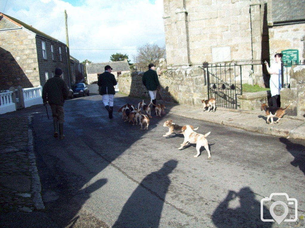 The Lambo Beagles