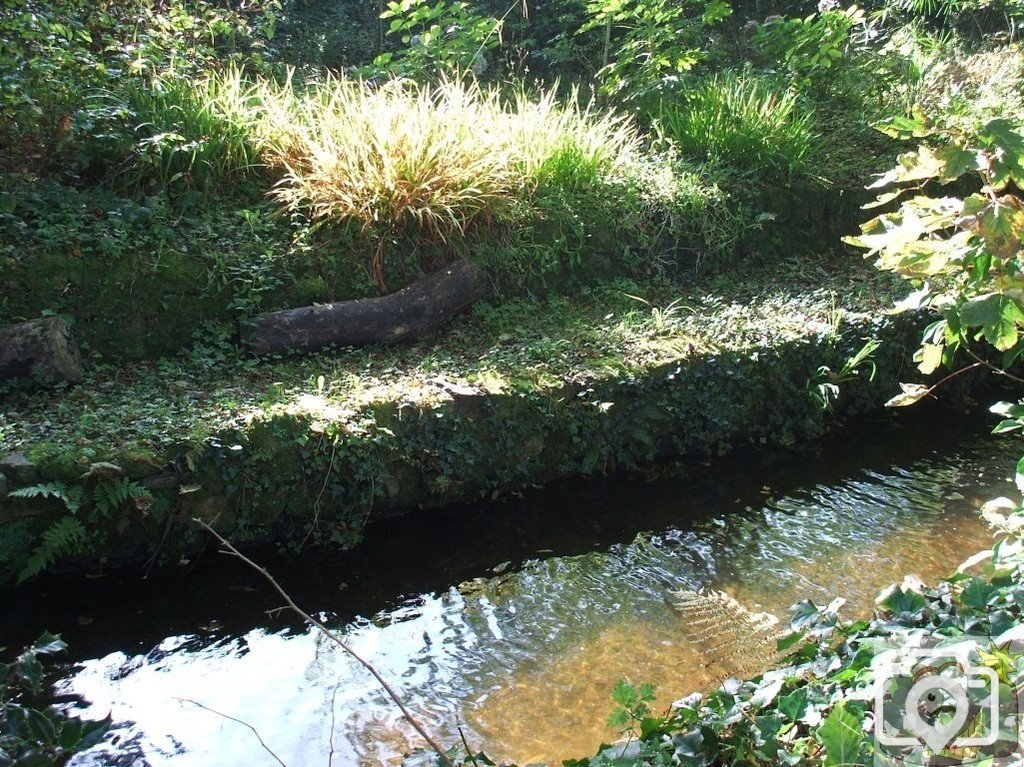 The Lariggan River alongside Rosehill