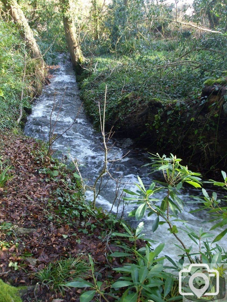 The Lariggan River beside Rosehill