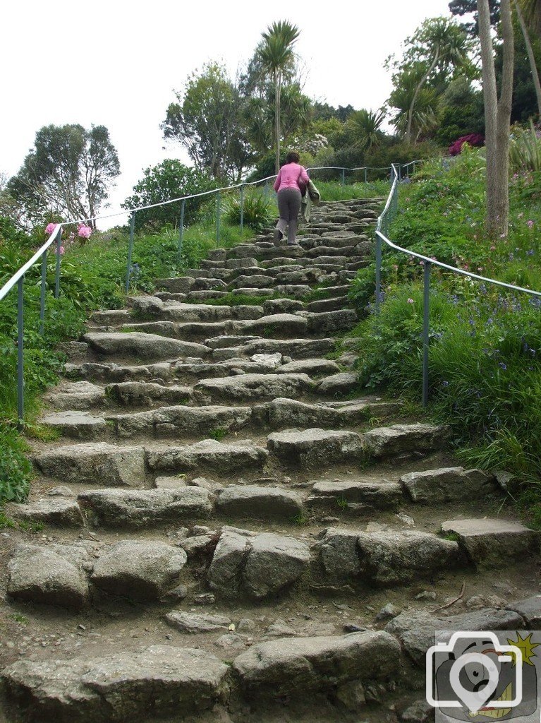 The Pilgrims' Steps - St Michael's Mount - 18May10