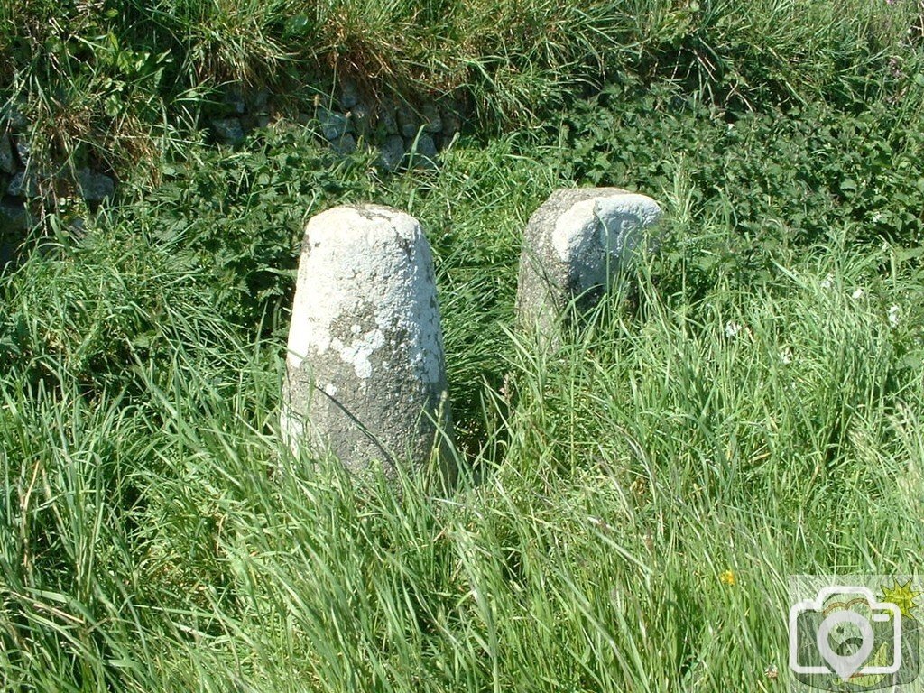 The Ring and Thimble, Gwavas