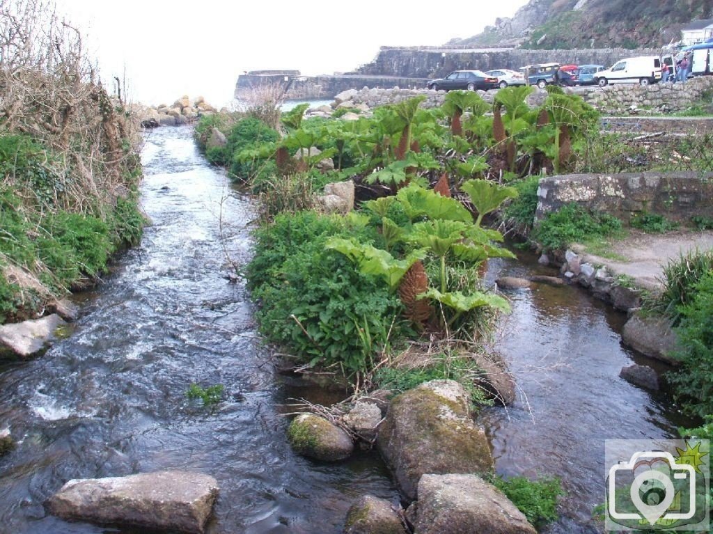 The river at lamorna Cove