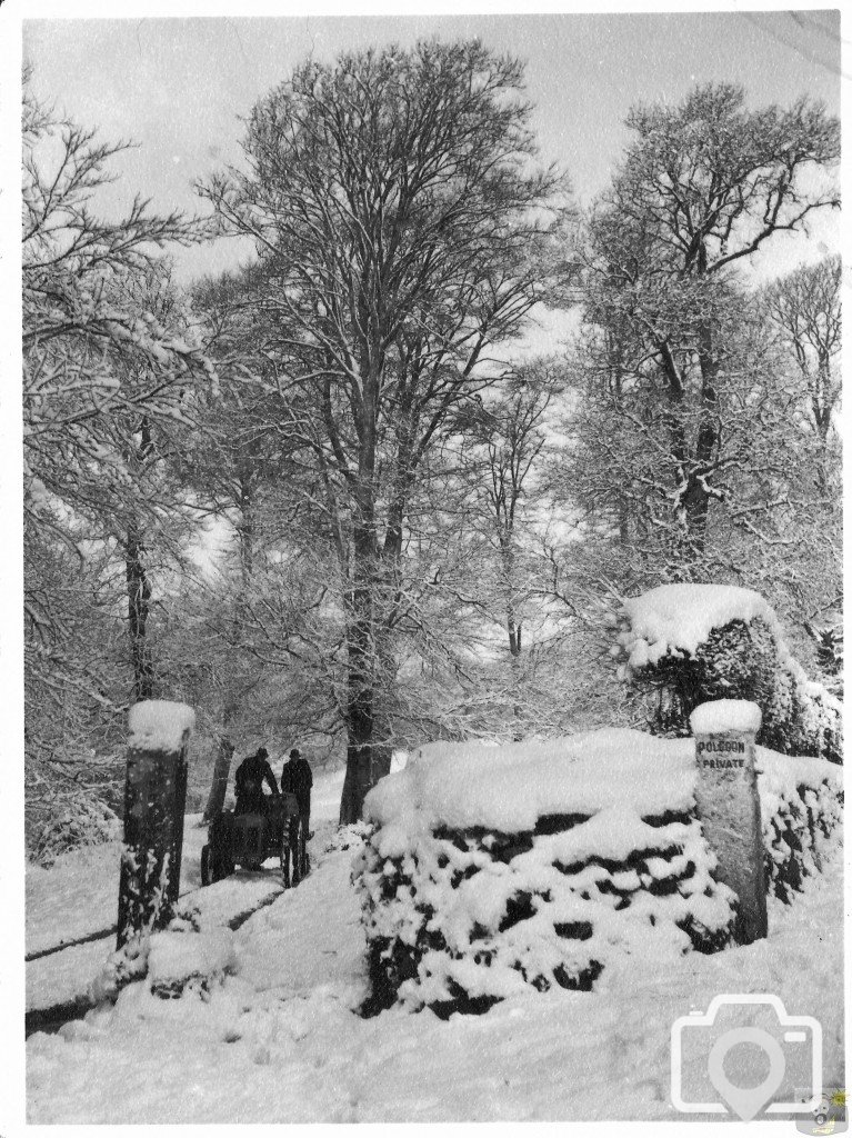 The Snows of 1947 - Polgoon
