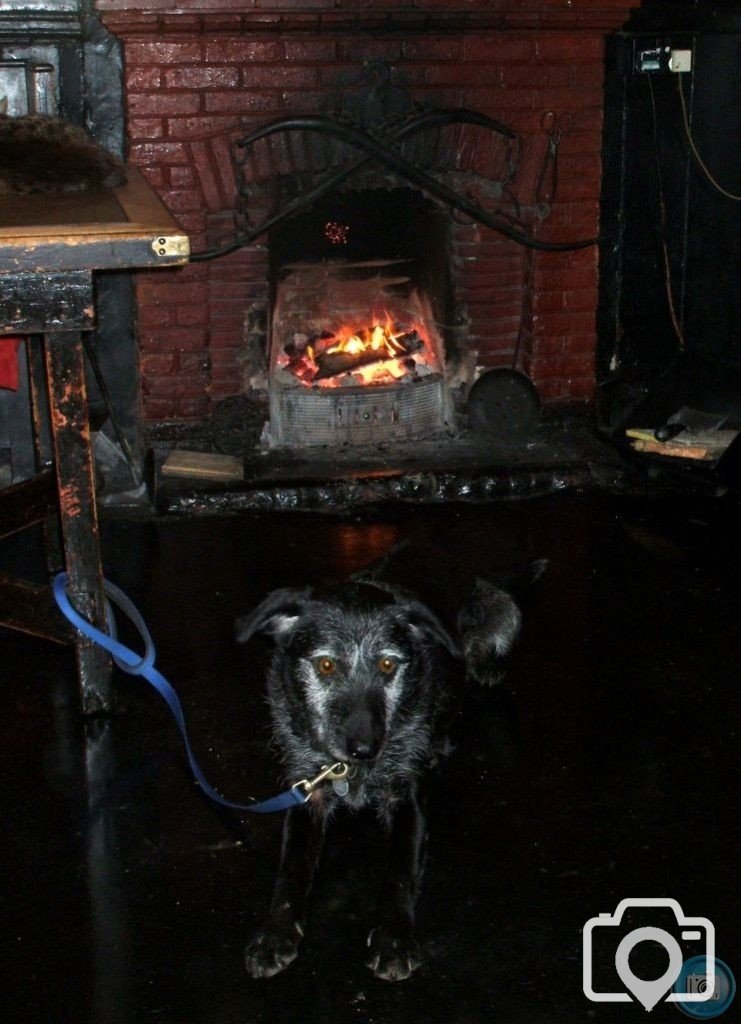 The Star Inn, St Just - 06Feb'09: A cosy scene!