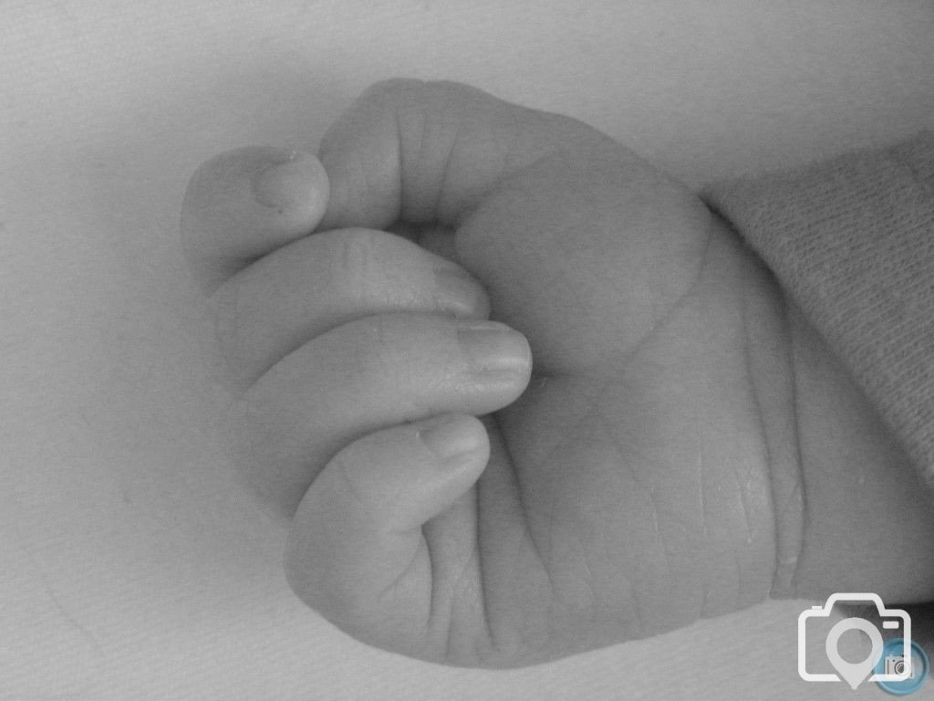 tiny hand